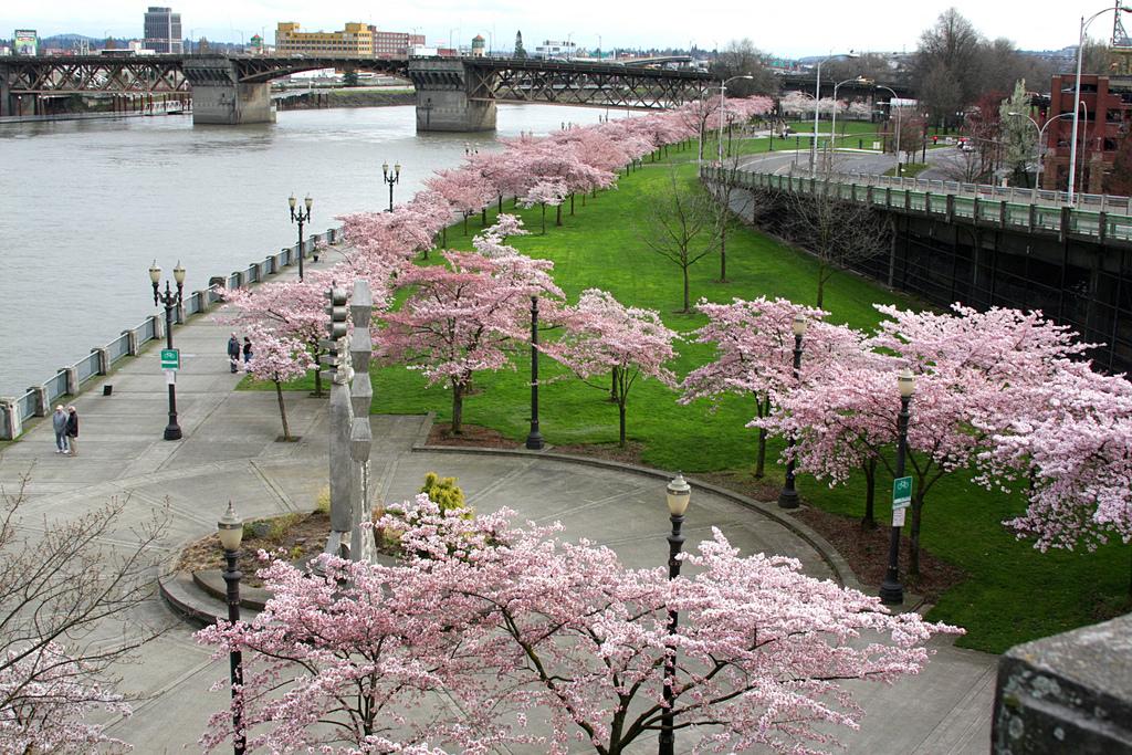 Japanese Memorial Waterfront Park Portland, OR